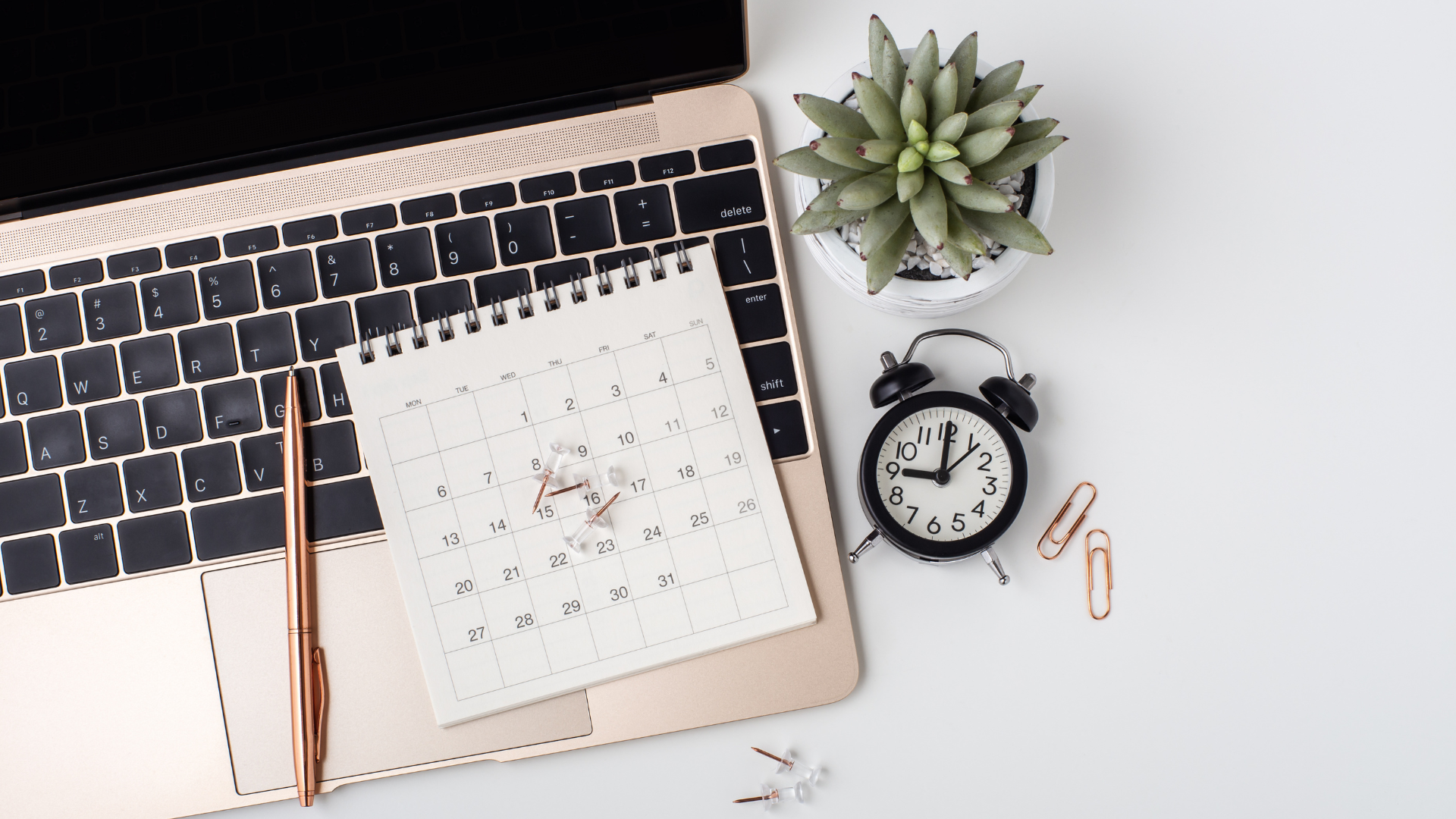 gratitude season