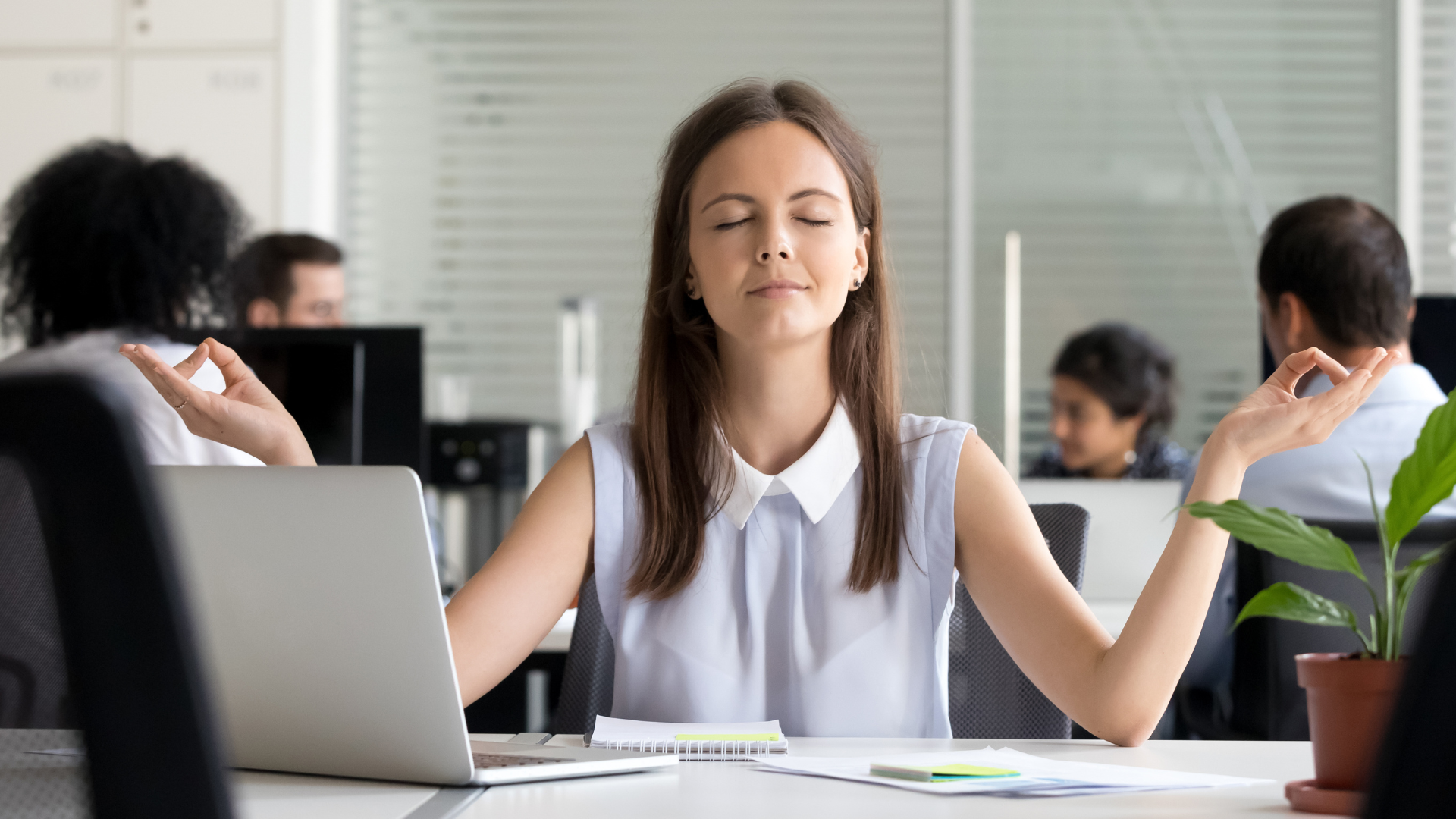 workplace wellness