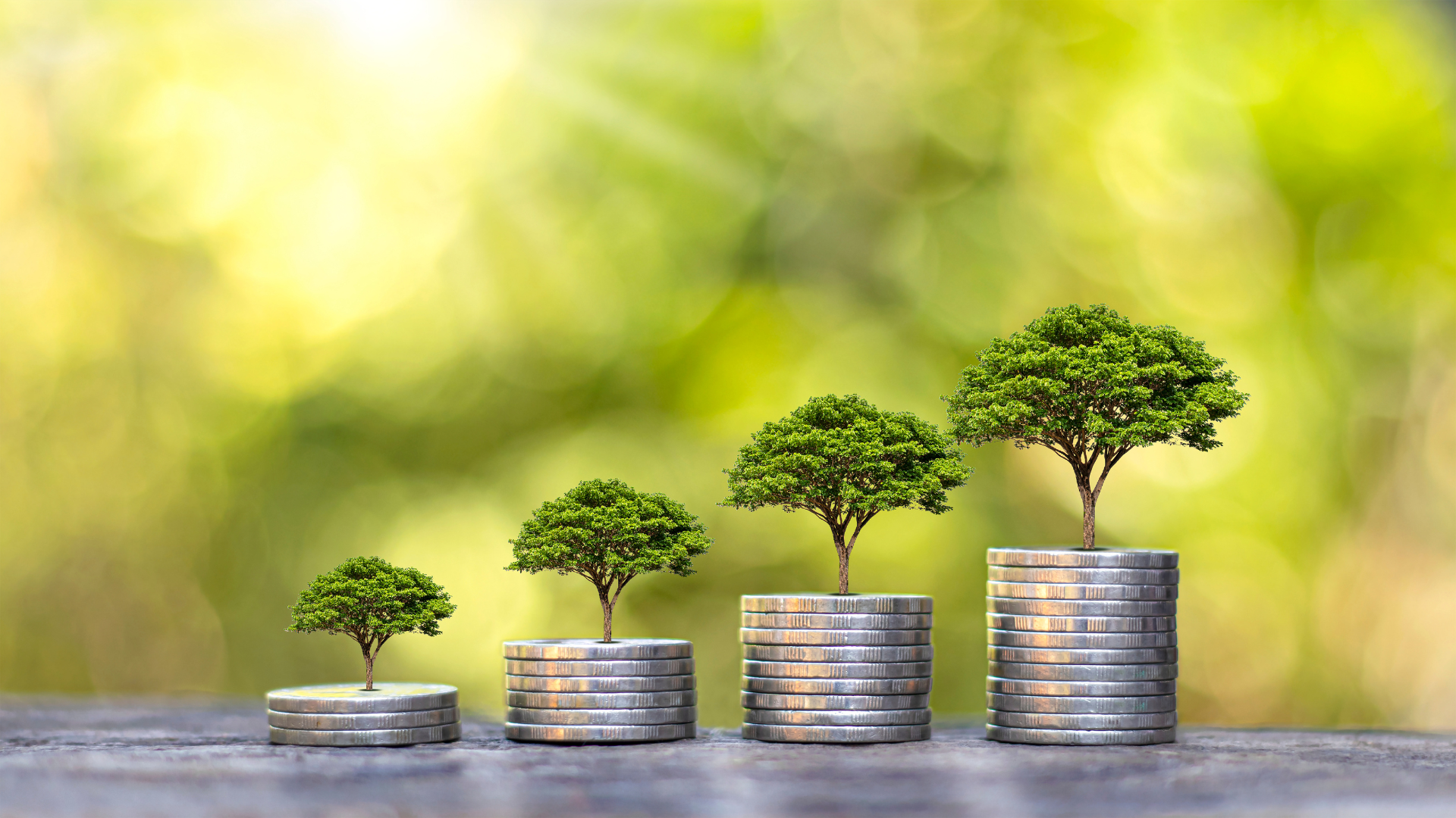 financial wellness