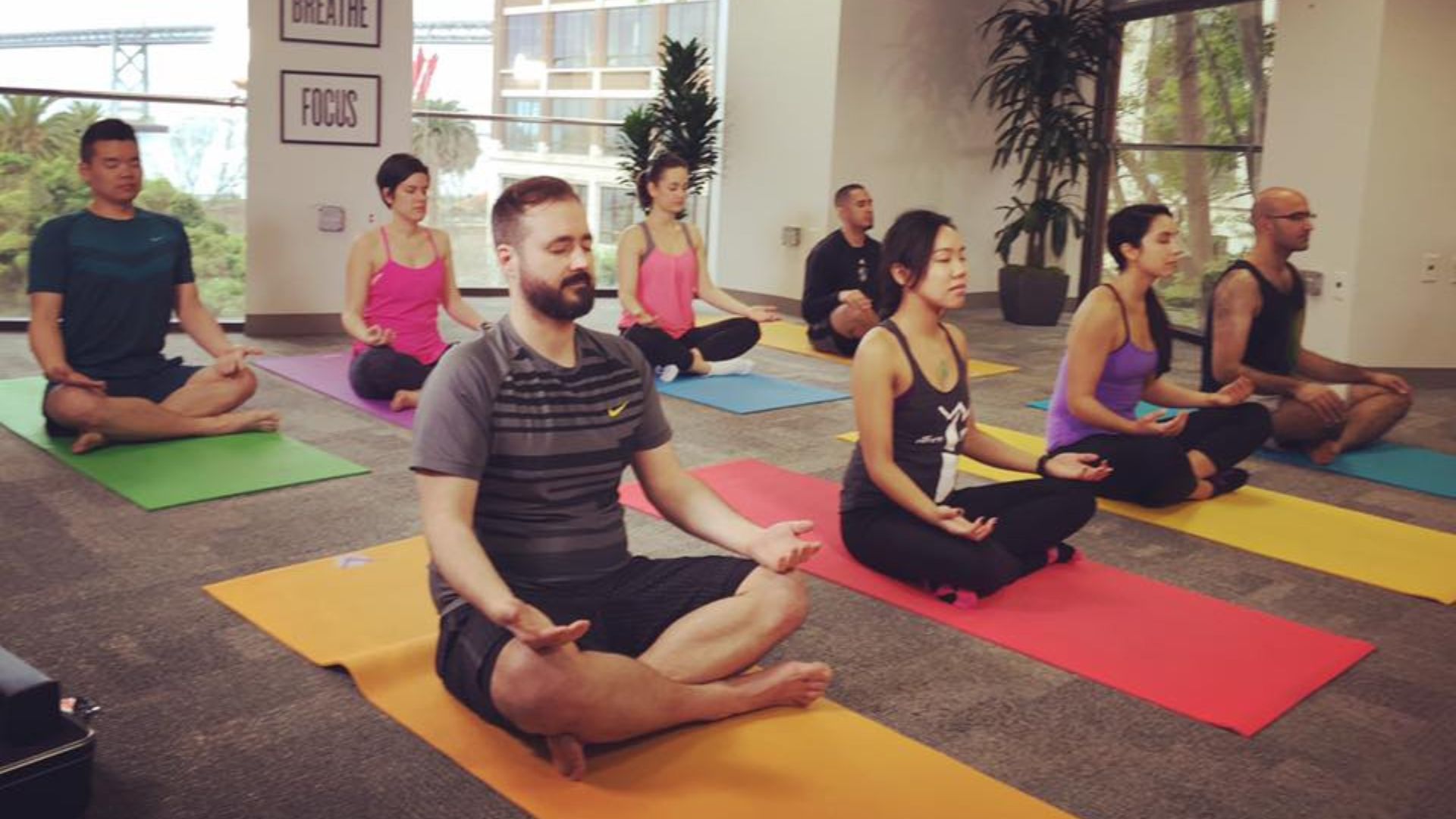workplace wellness