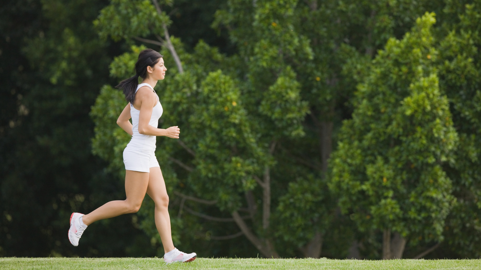 workplace wellness