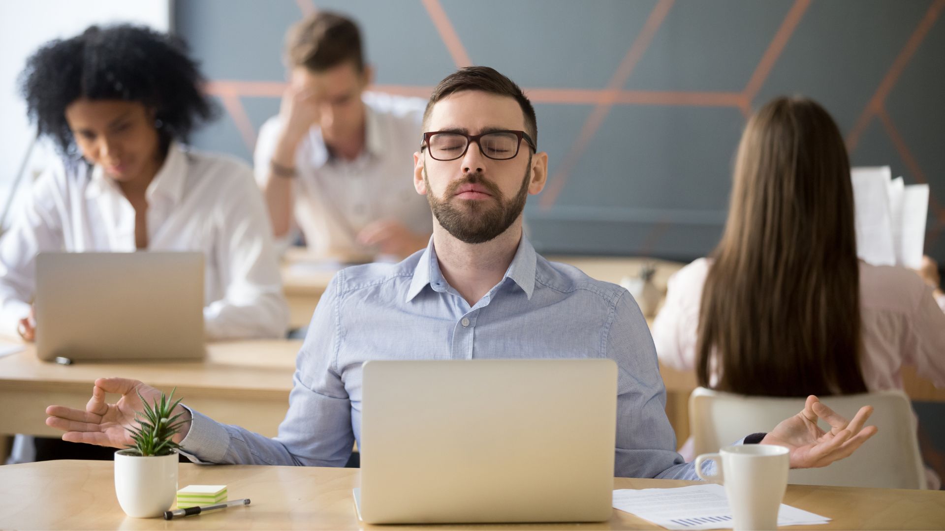 employee wellness
