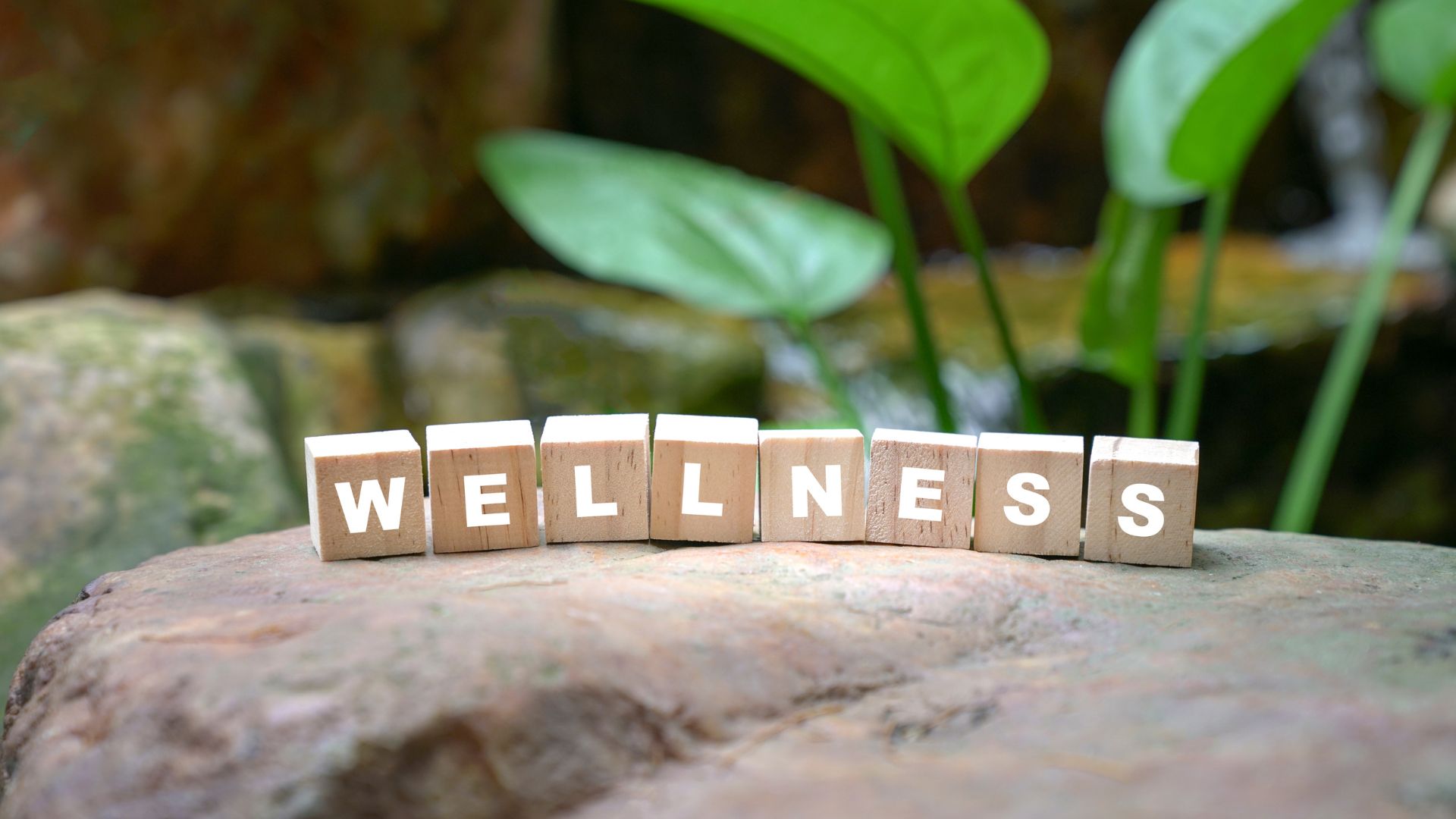 social wellness month