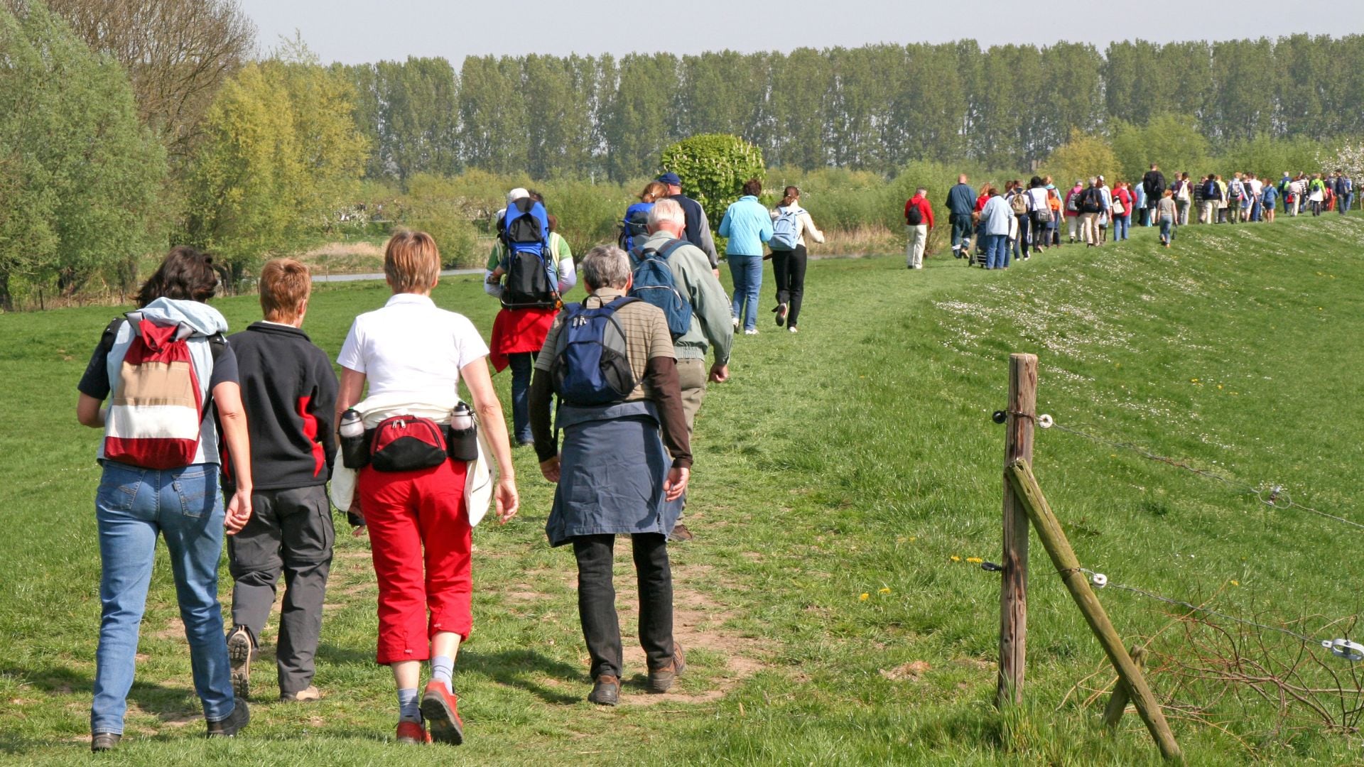 well being walk