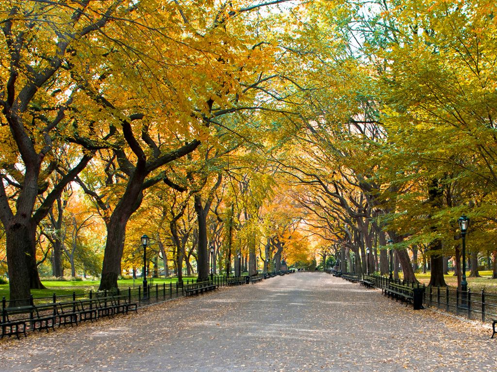 corporate fitness programs new york
