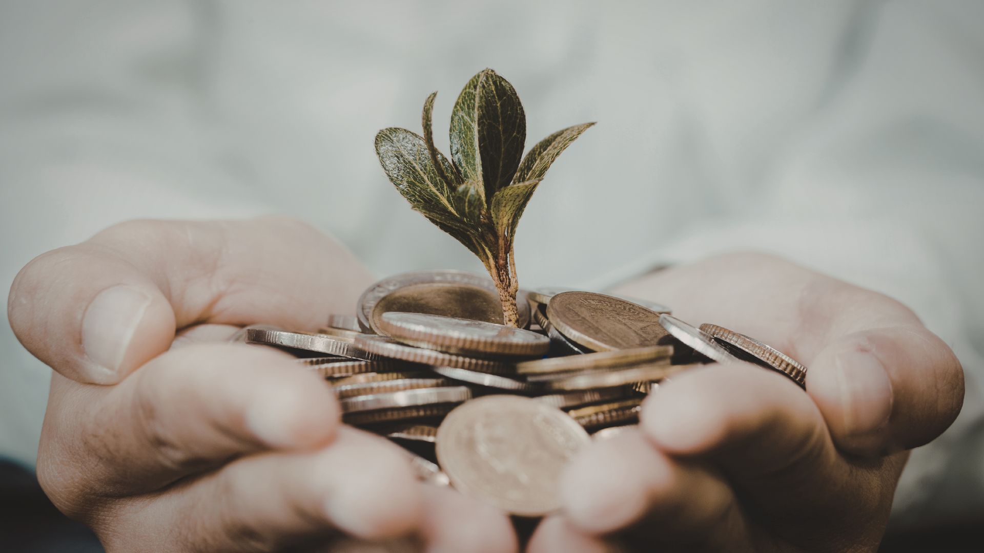 financial fitness